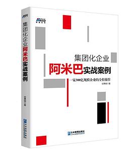 集团化企业阿米巴实战案例/博瑞森管理丛书.jpg